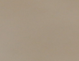 20D100.jpg
