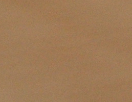 D70800.jpg